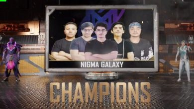 Bild von Ergebnisse des BGMI Pro Warrior CUP S2 Grand Finals: Team Nigma Galaxy wird Meister, gefolgt von TSM