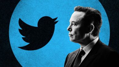 Bild von Elon Musk pausiert Twitter-Deal und sagt, „kann nicht vorankommen“ ohne neue Informationen