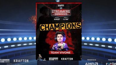 Bild von Team Vivone Gaming gewinnt Skyesports BGMI Streamers Showdown und Rs 6 Lakh