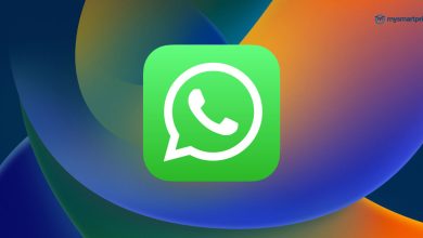 Bild von WhatsApp Beta erhält eine neue Funktion zum Anzeigen des Status aus der Chat-Liste selbst
